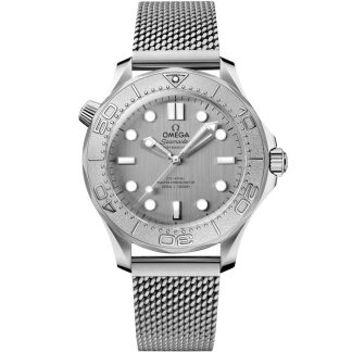 Omega Seamaster Diver 300M 42 mm, stål på stål 210.30.42.20.06.002